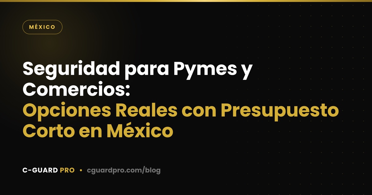 Seguridad para Pymes y Comercios: Opciones Reales con Presupuesto Corto en México