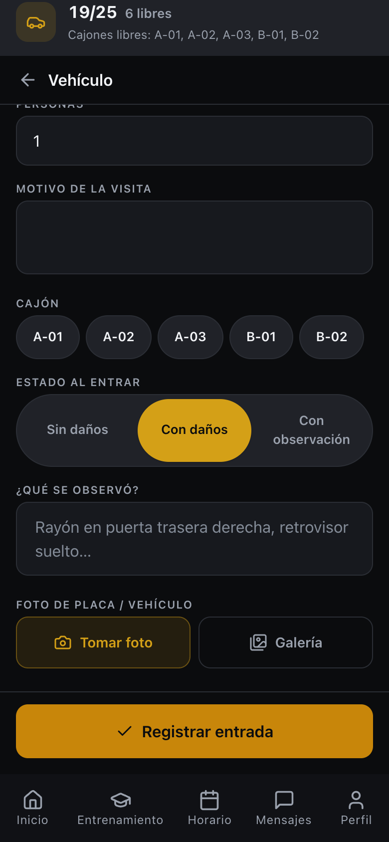 Formulario de registro de entrada de un vehículo