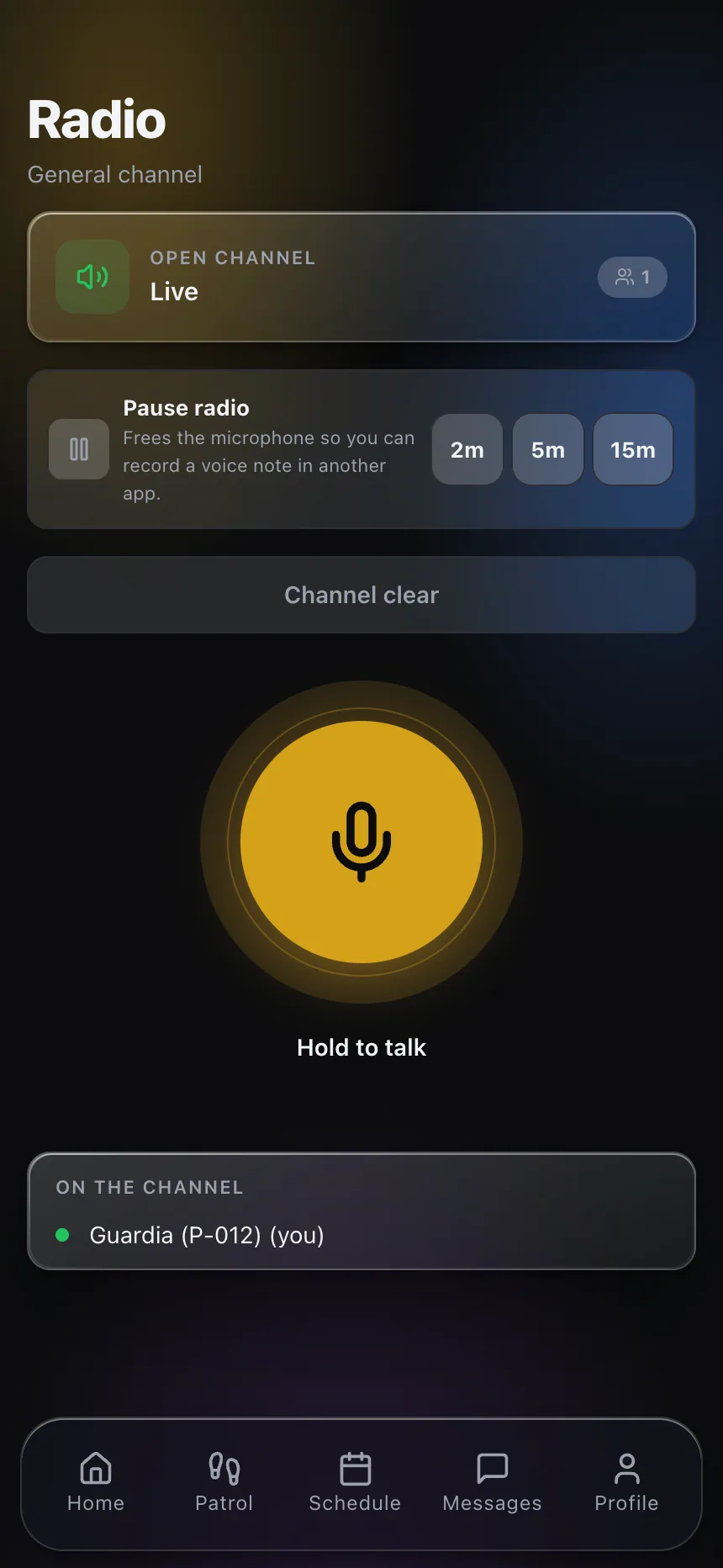Live push-to-talk radio channel in the CGuardPro guard app